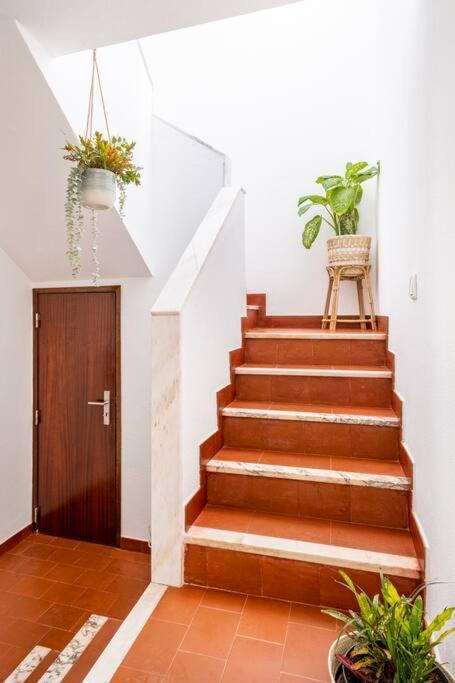 Casa Alto Da Serra 塞辛布拉 外观 照片